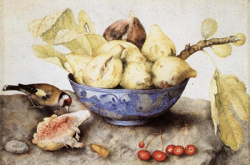 Giovanna Garzoni Chinese Cup with Figs,Cherries and Goldfinch China oil painting art